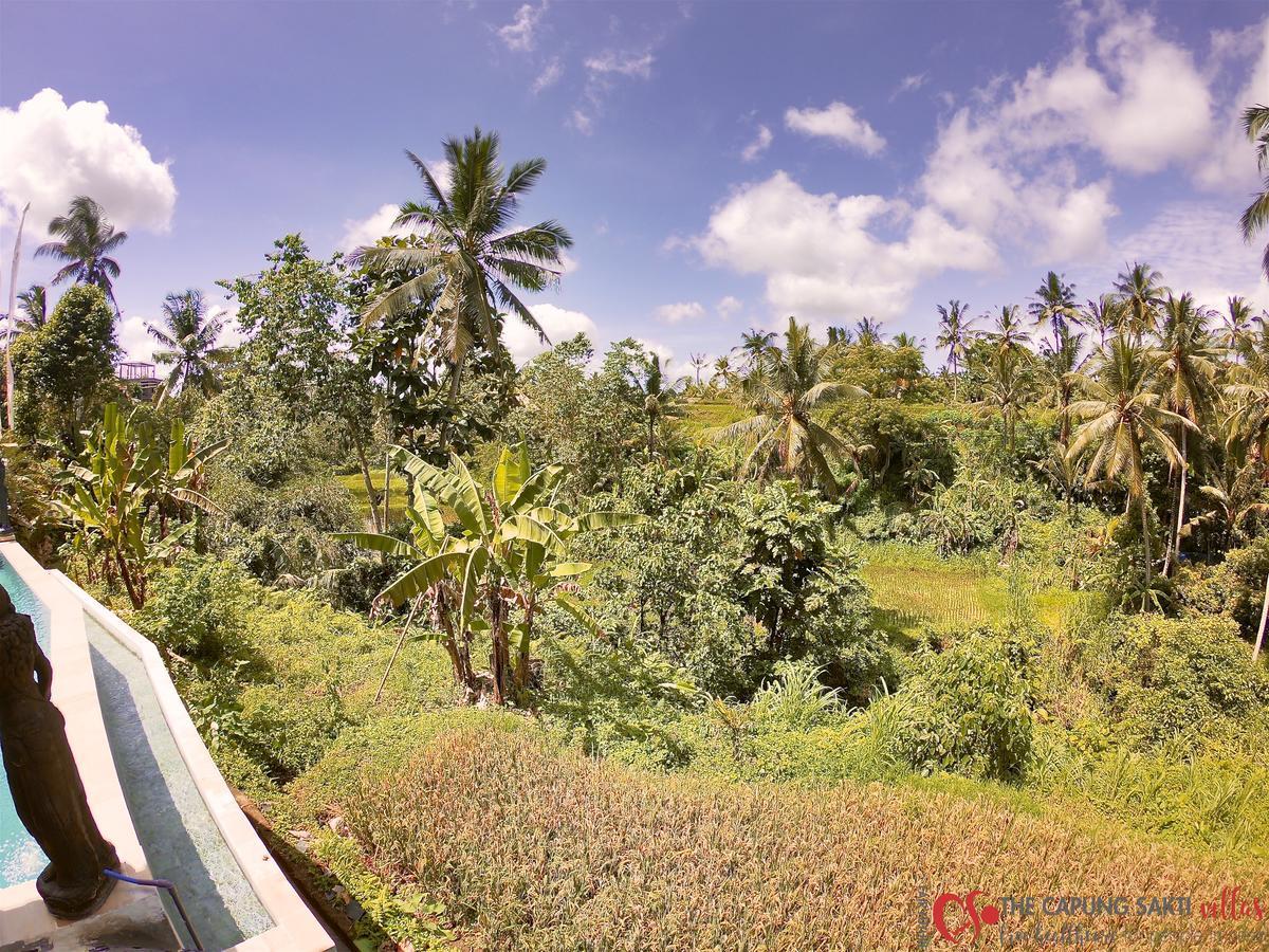 Capung Sakti Villas Ubud Eksteriør billede