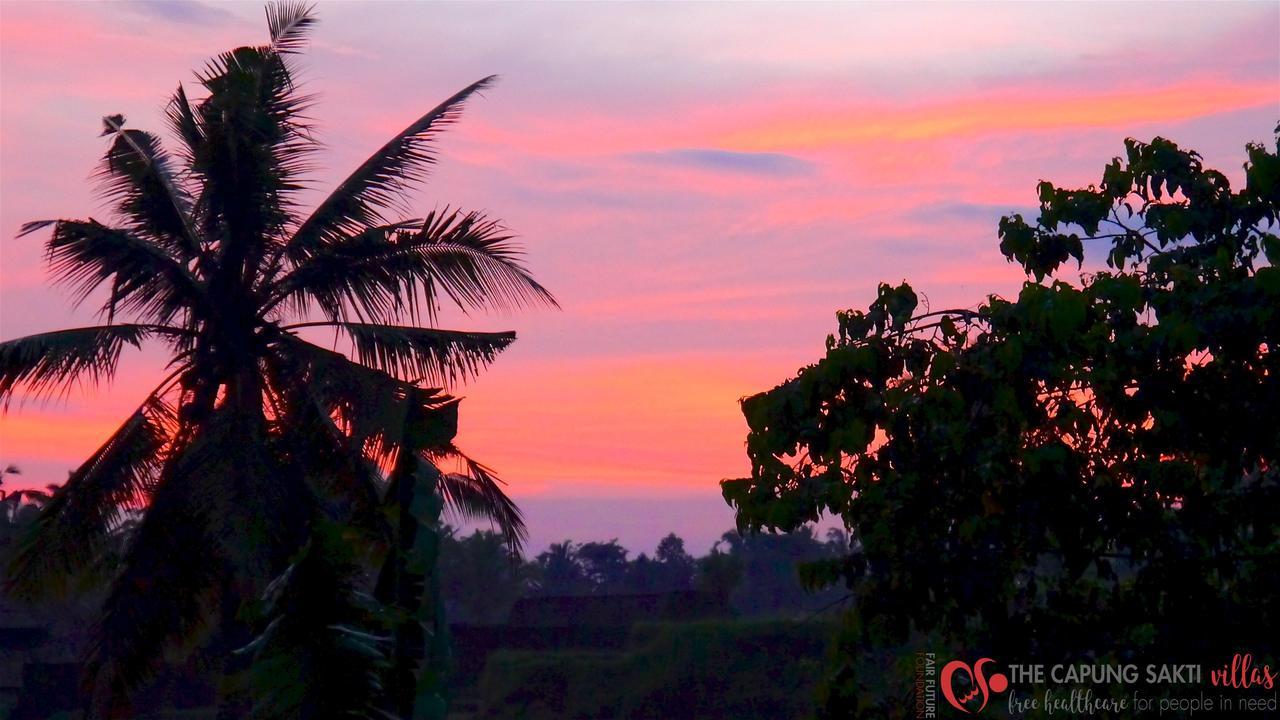 Capung Sakti Villas Ubud Eksteriør billede