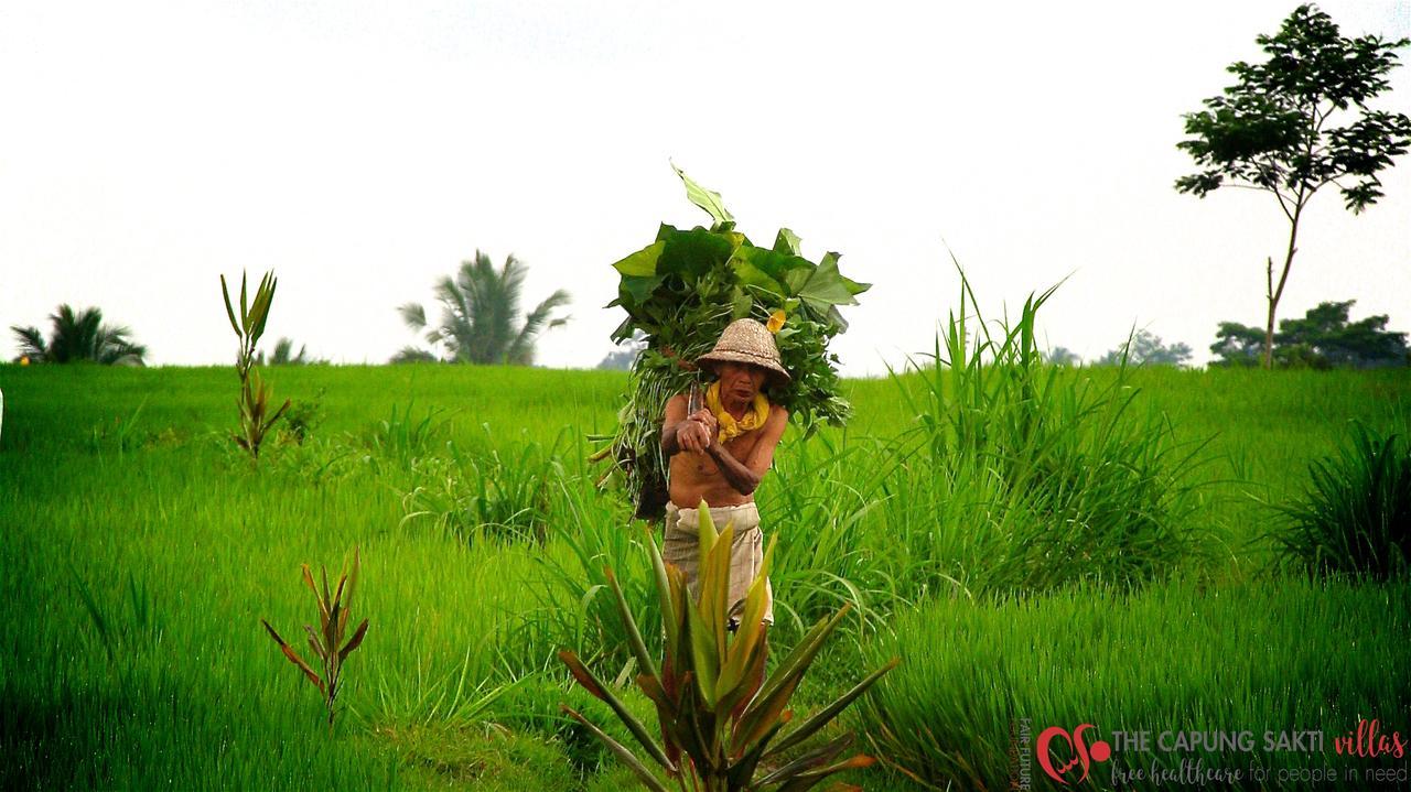 Capung Sakti Villas Ubud Eksteriør billede