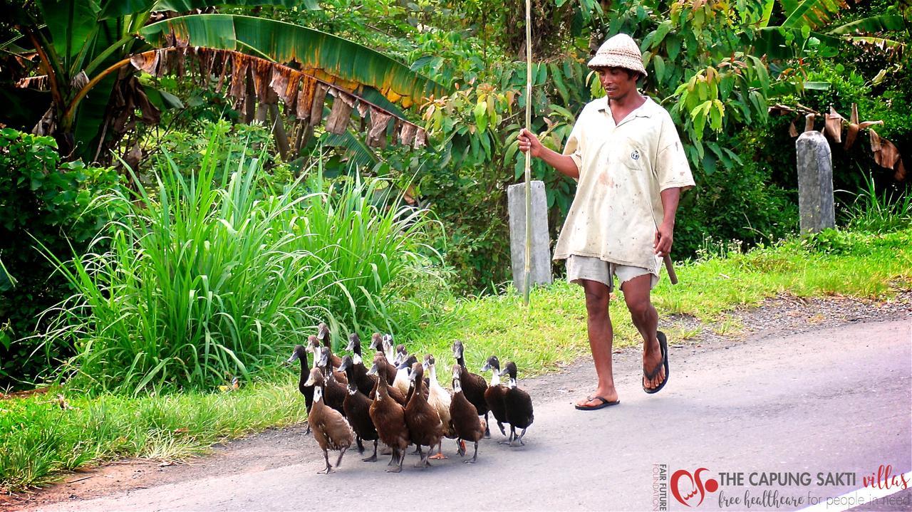 Capung Sakti Villas Ubud Eksteriør billede